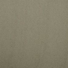 Masland Silk Touch Glade 9515-541