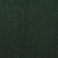 Masland Silk Touch Windemere 9515-549