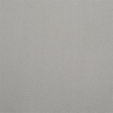 Masland Silk Touch Silver 9515-811