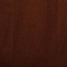 Masland Silk Touch Nutmeg 9515-919