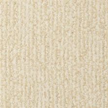 Masland Casa Grande Edgecomb 9518-101