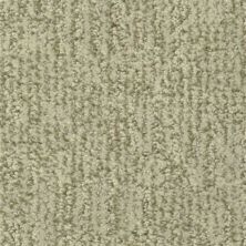 Masland Casa Grande Fairmont 9518-534