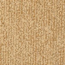 Masland Mesa Verde Sienna 9519-303