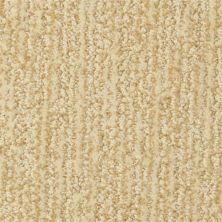 Masland Mesa Verde Porter 9519-417