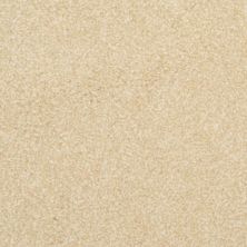 Masland Beacon Hill Dijon 9527-191