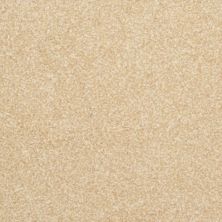 Masland Beacon Hill Biscotti 9527-244