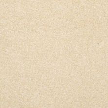 Masland Beacon Hill Beigeful 9527-267