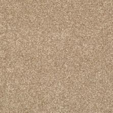 Masland Beacon Hill Vinca Vine 9527-341