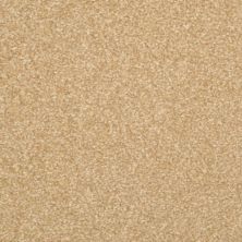 Masland Beacon Hill Cashew 9527-346