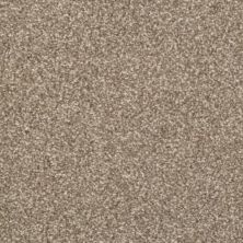 Masland Beacon Hill Ridgeland 9527-347