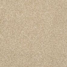 Masland Beacon Hill Washed Clay 9527-349