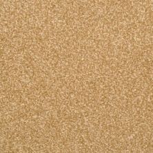 Masland Beacon Hill Tundra 9527-359