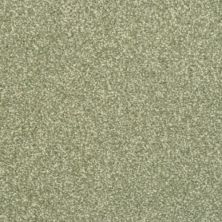 Masland Beacon Hill Pine 9527-588