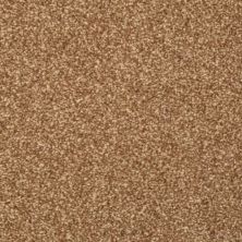 Masland Beacon Hill Walnut 9527-753