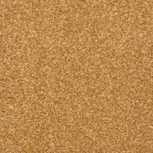 Masland Beacon Hill Bronze Leaf 9527-763