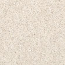 Masland Opalesque Moccasin 9528-229