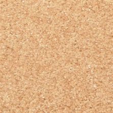 Masland Opalesque Sienna 9528-316