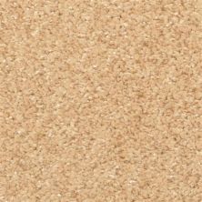 Masland Opalesque Foundry 9528-339