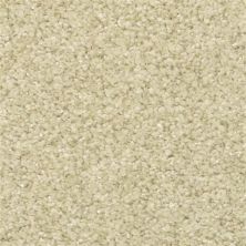 Masland Opalesque May 9528-534