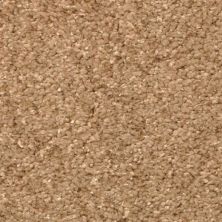 Masland Opalesque Congo 9528-718