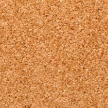 Masland Opalesque Neon Carrot 9528-941