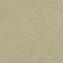 Masland Braided Opulence Simply Taupe 9542-247
