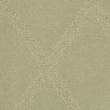 Masland Braided Opulence Fossil 9542-767