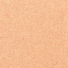 Masland Morgan Bay Clay Pot 9550-302