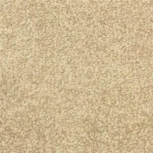 Masland Morgan Bay Sedgewick 9550-398