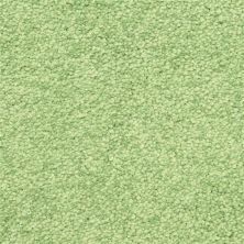 Masland Morgan Bay Liming 9550-512