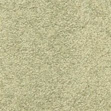 Masland Morgan Bay Spanish Moss 9550-553