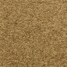 Masland Morgan Bay Woofruff 9550-731