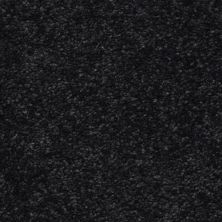 Masland Morgan Bay Metropolis 9550-764