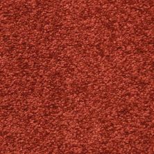 Masland Morgan Bay Wine Berry 9550-982