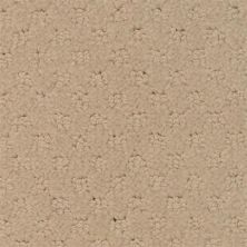 Masland Vero Beach Cork 9551-130