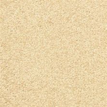 Masland Vero Beach Autumn Blush 9551-235