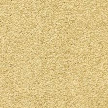 Masland Vero Beach Bronze 9551-468