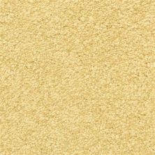 Masland Vero Beach Cheshire 9551-490