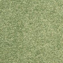 Masland Vero Beach Pine Grove 9551-569