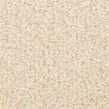 Masland Sea Grass Shell 9556-130