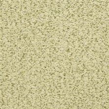 Masland Sea Grass Moss 9556-546