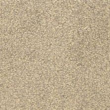 Masland This And That Storm 9557-753