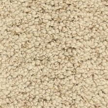 Masland Shangri-la Too Immortal 9564-342