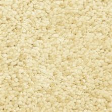 Masland Shangri-la Too Contented 9564-434