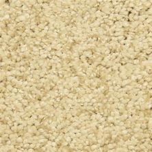 Masland Shangri-la Too Baskul 9564-544