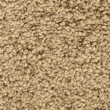 Masland Shangri-la Too Harmonious 9564-782