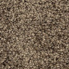 Masland Shangri-la Too Tibetan 9564-796