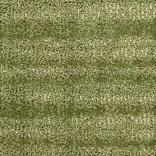 Masland Jive Aerial 9567-575