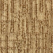 Masland Private Collection Gold Coins 9570-401