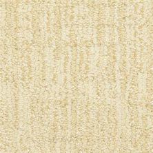 Masland Private Collection Artifacts 9570-404